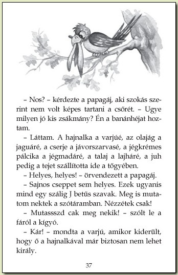 A sirály a király? - 37. oldal